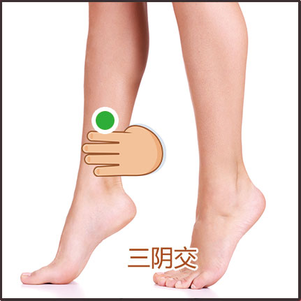 腎陽(yáng)虛、虛寒體質(zhì)貼敷位置示意圖